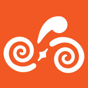 Fundraising Page: Allen Baum